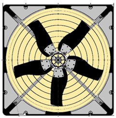 Blade pass frequency.