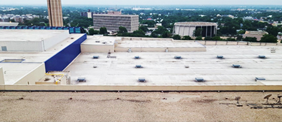 Conducting a Roof Moisture Inspection using Infrared Thermography 1