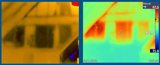 Figure 1 - Same wall, winter on the left summer on the right.