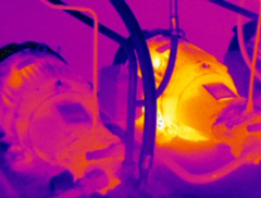 Thermal imgage of mechanical equipment
