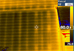 Example captured on the outside of a wood-frame building during warm weather conditions.